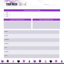 Load image into Gallery viewer, She Evolve 90 Day Planner